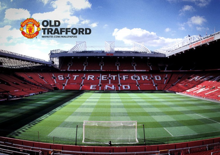 的解读大肆 的解读大肆